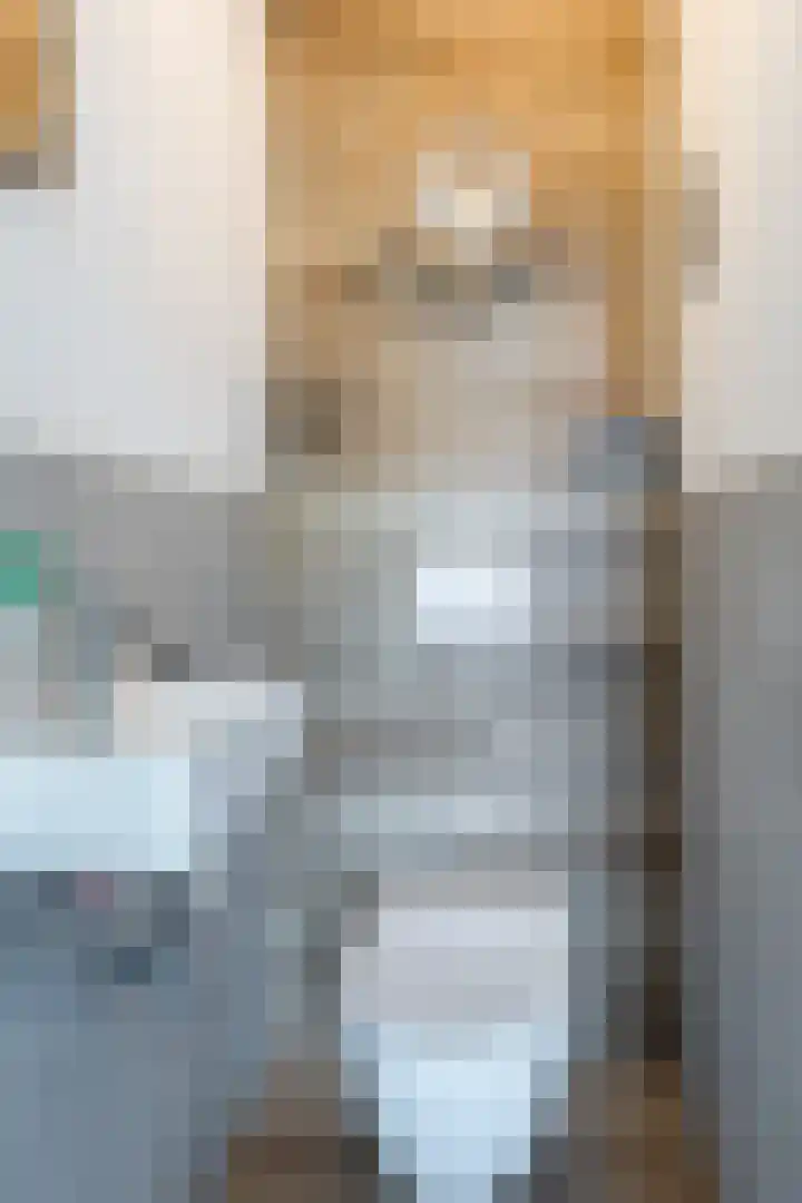 Hertshooistraat 4 Assen thumbnail 19