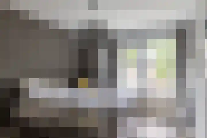 Hertshooistraat 4 Assen thumbnail 20