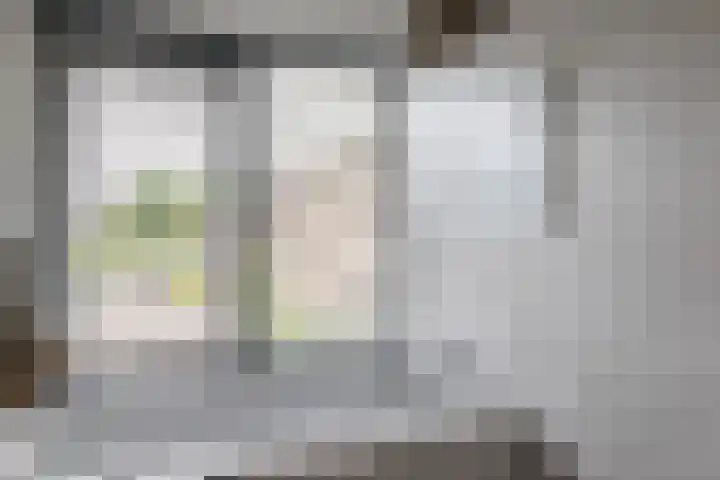 Hertshooistraat 4 Assen thumbnail 27