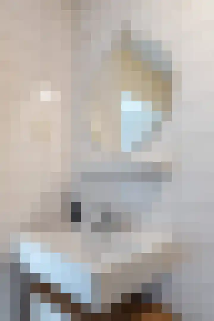 Hertshooistraat 4 Assen thumbnail 30