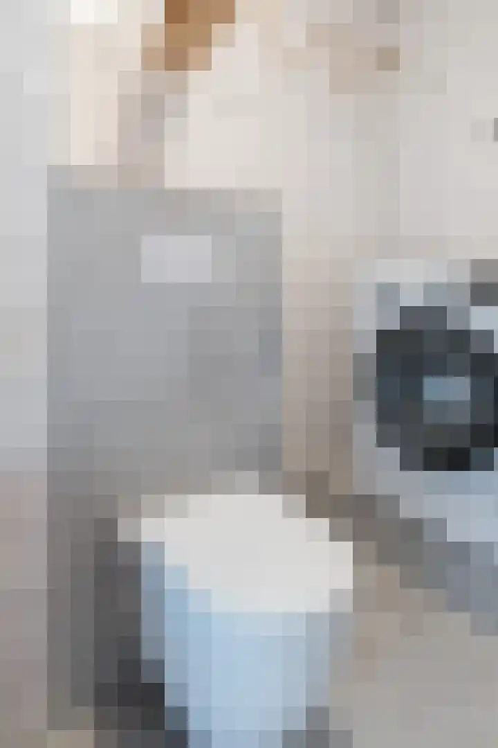 Hertshooistraat 4 Assen thumbnail 31
