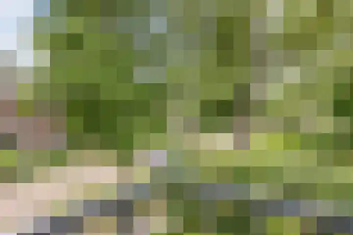 Hertshooistraat 4 Assen thumbnail 32