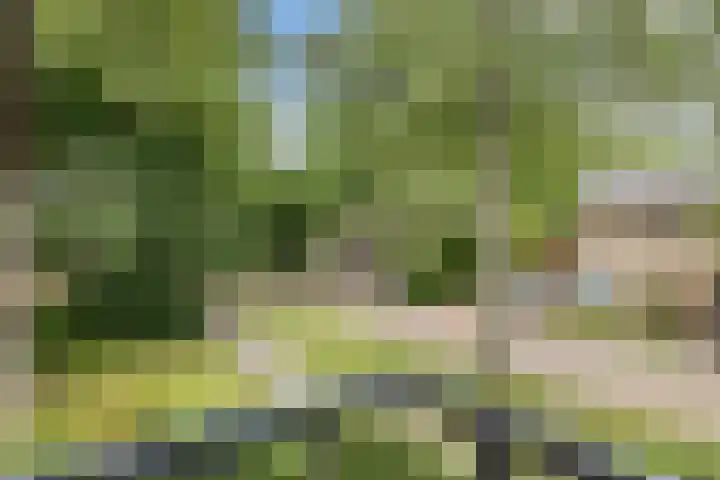 Hertshooistraat 4 Assen thumbnail 33