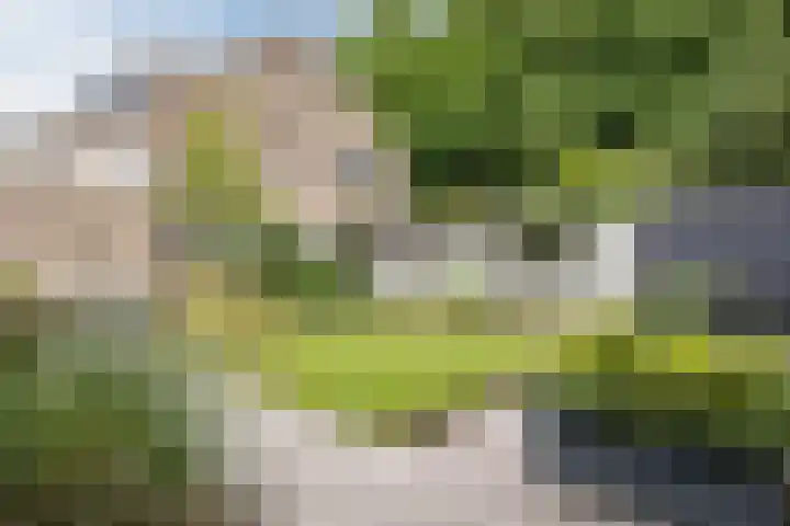 Hertshooistraat 4 Assen thumbnail 34