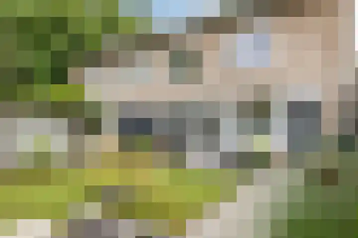 Hertshooistraat 4 Assen thumbnail 35