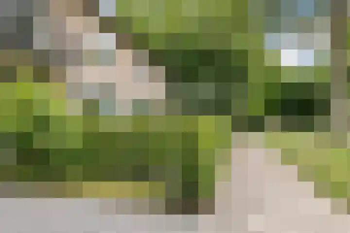 Hertshooistraat 4 Assen thumbnail 4