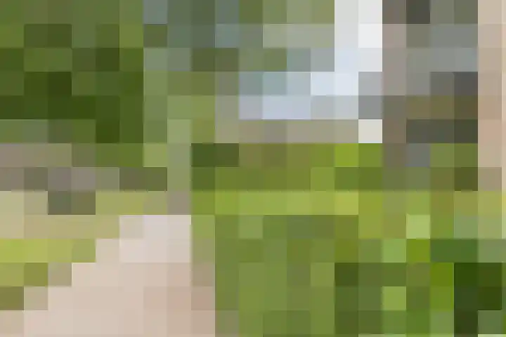 Hertshooistraat 4 Assen thumbnail 5