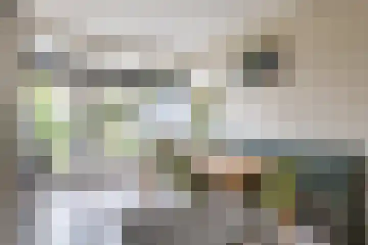 Hertshooistraat 4 Assen thumbnail 8