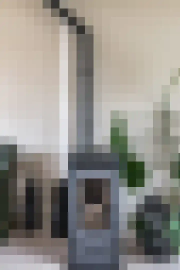 Hertshooistraat 4 Assen thumbnail 9
