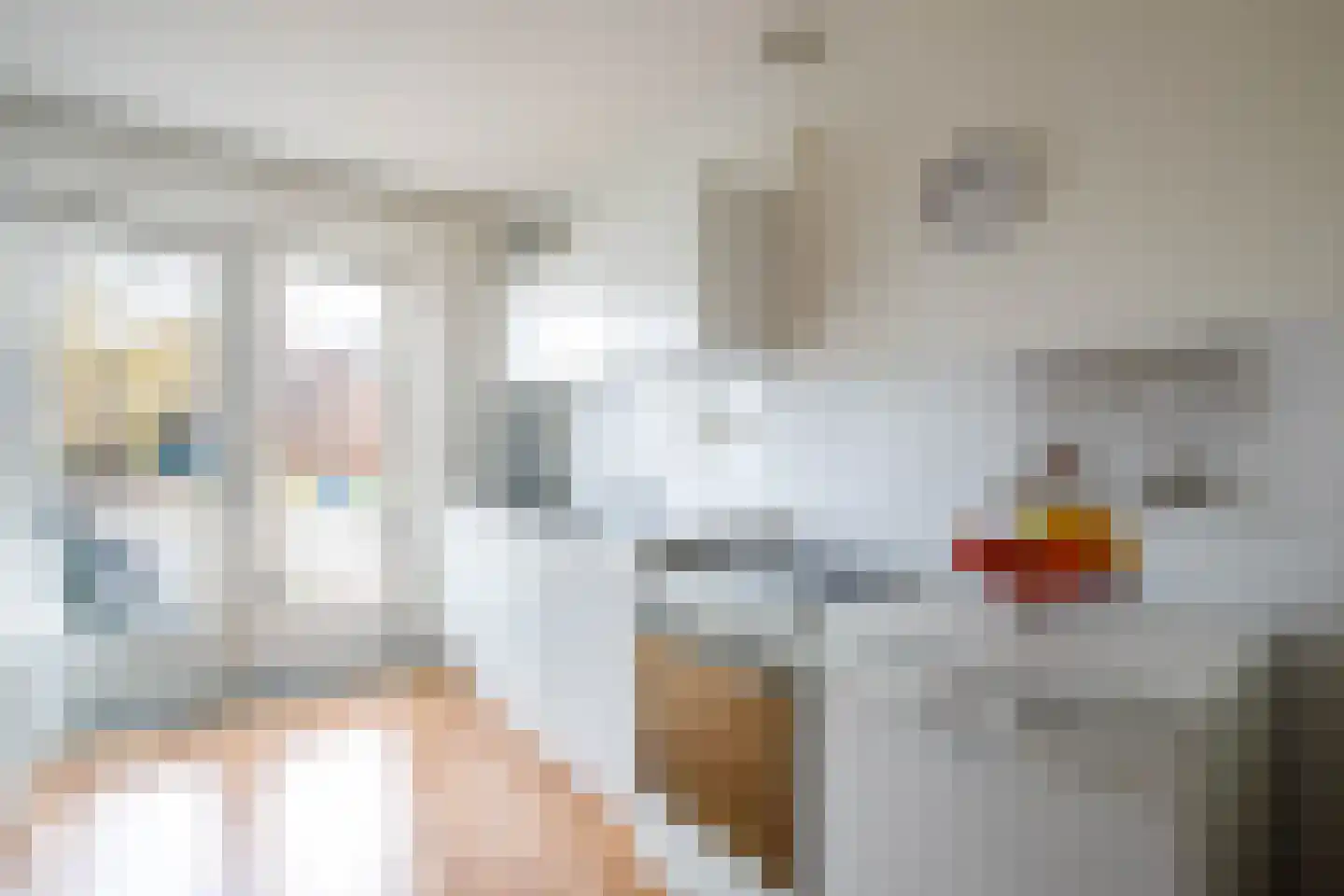 Hertshooistraat 46 Rotterdam thumbnail 10
