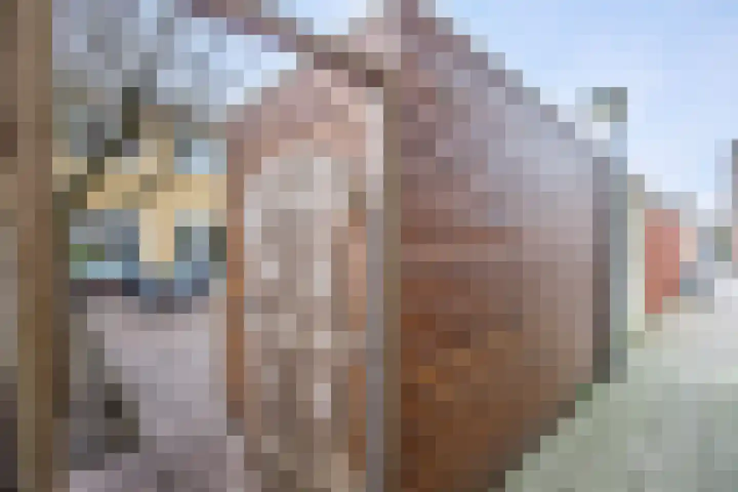 Hertshooistraat 46 Rotterdam thumbnail 31