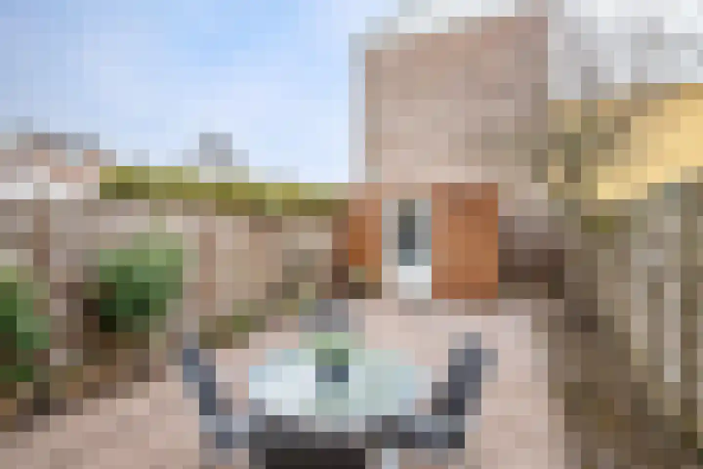 Hertshooistraat 46 Rotterdam thumbnail 32