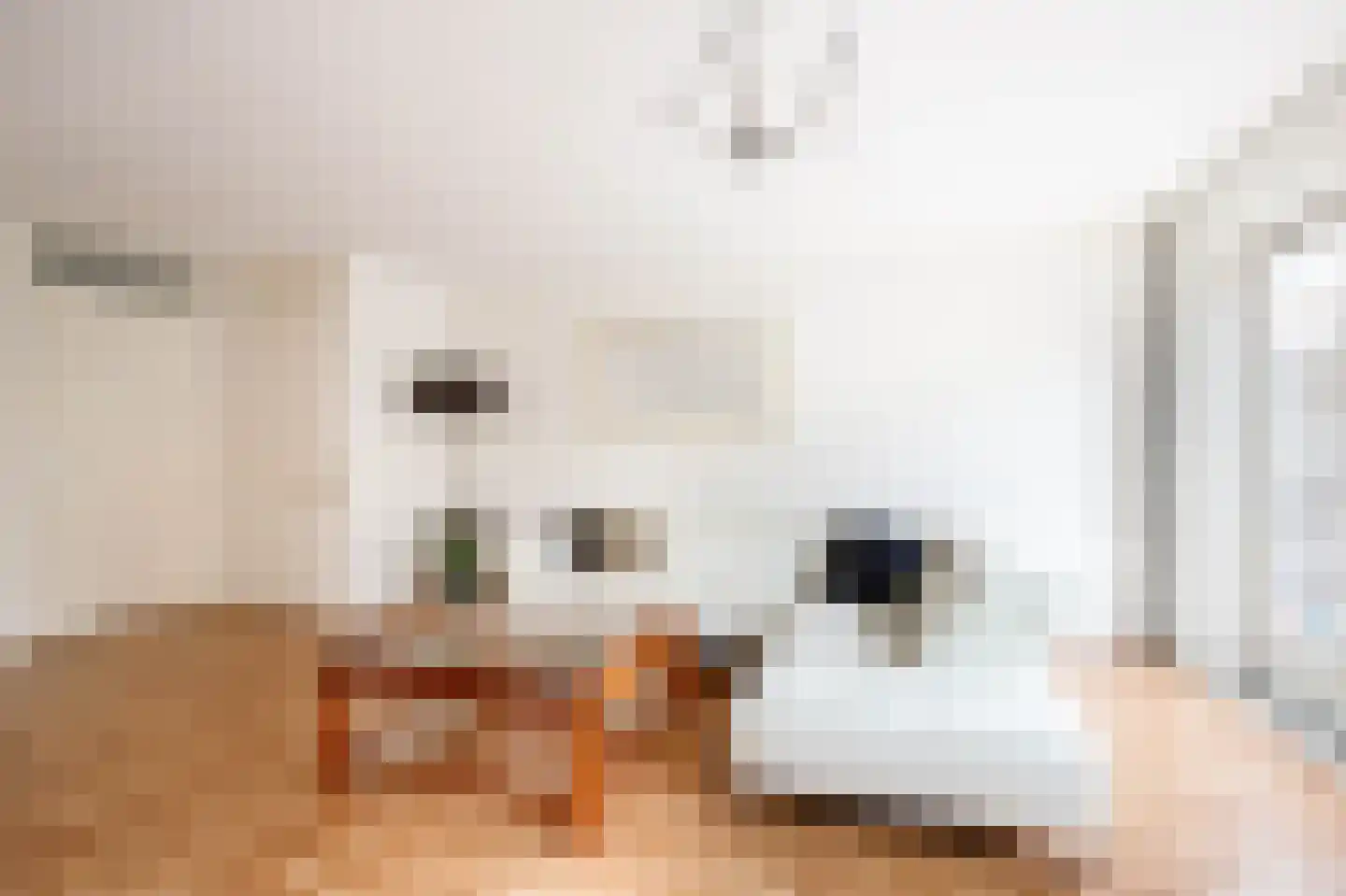 Hertshooistraat 46 Rotterdam thumbnail 4