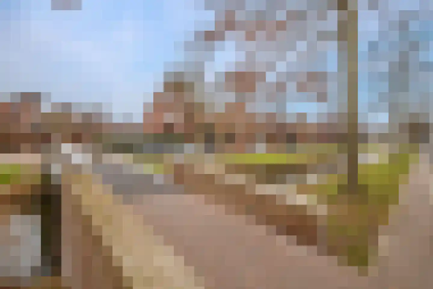 Hertshooistraat 46 Rotterdam thumbnail 40