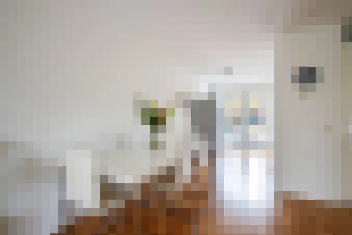 Hertshooistraat 46 Rotterdam thumbnail 6