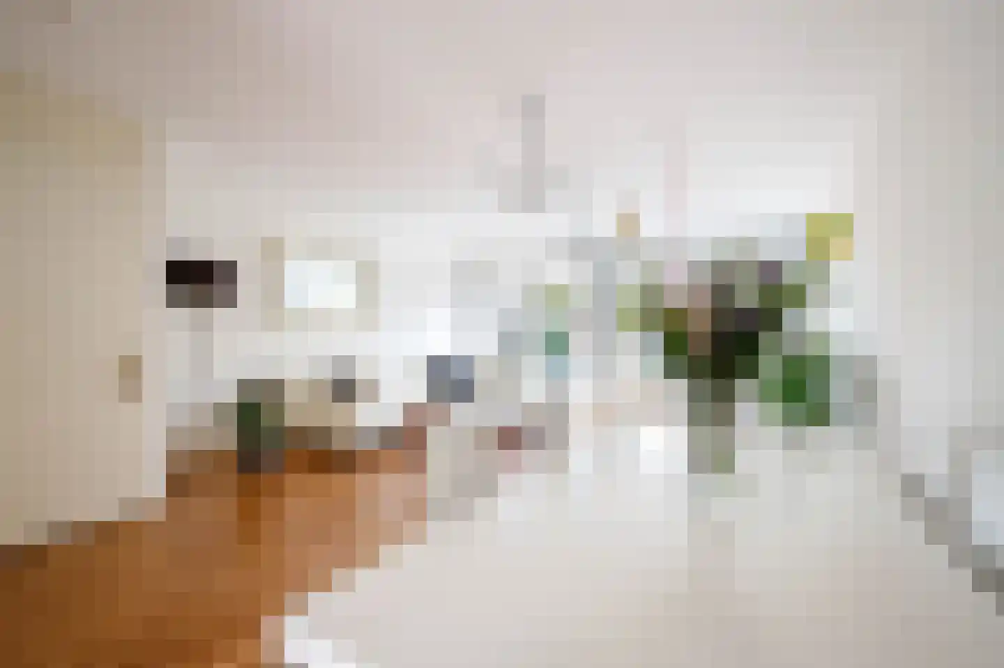 Hertshooistraat 46 Rotterdam thumbnail 7