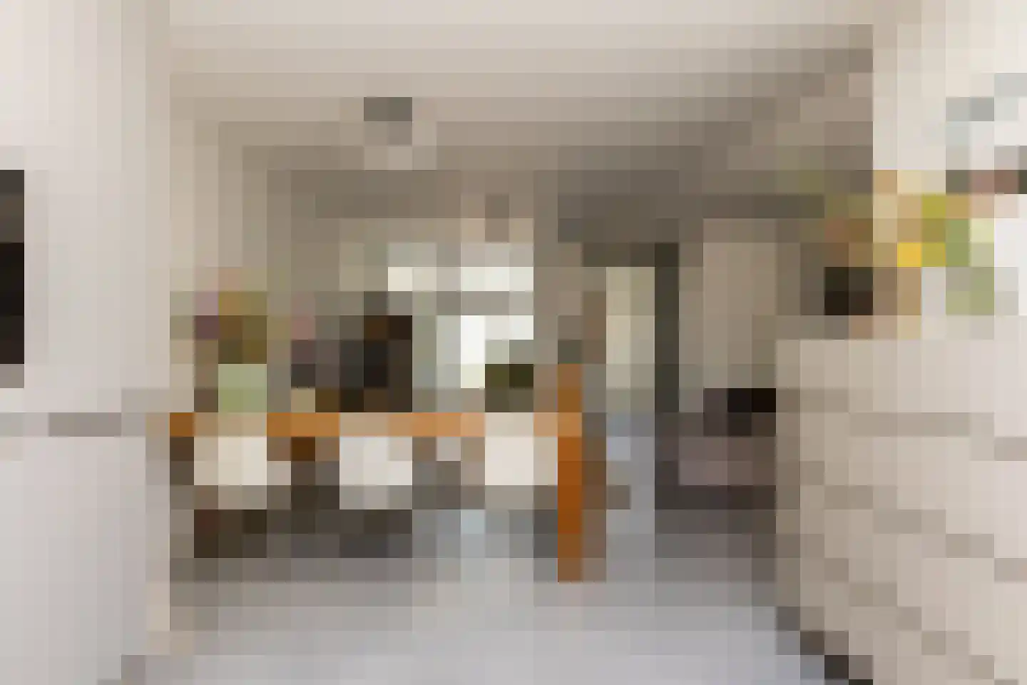 Hertshooistraat 8 Rotterdam thumbnail 16