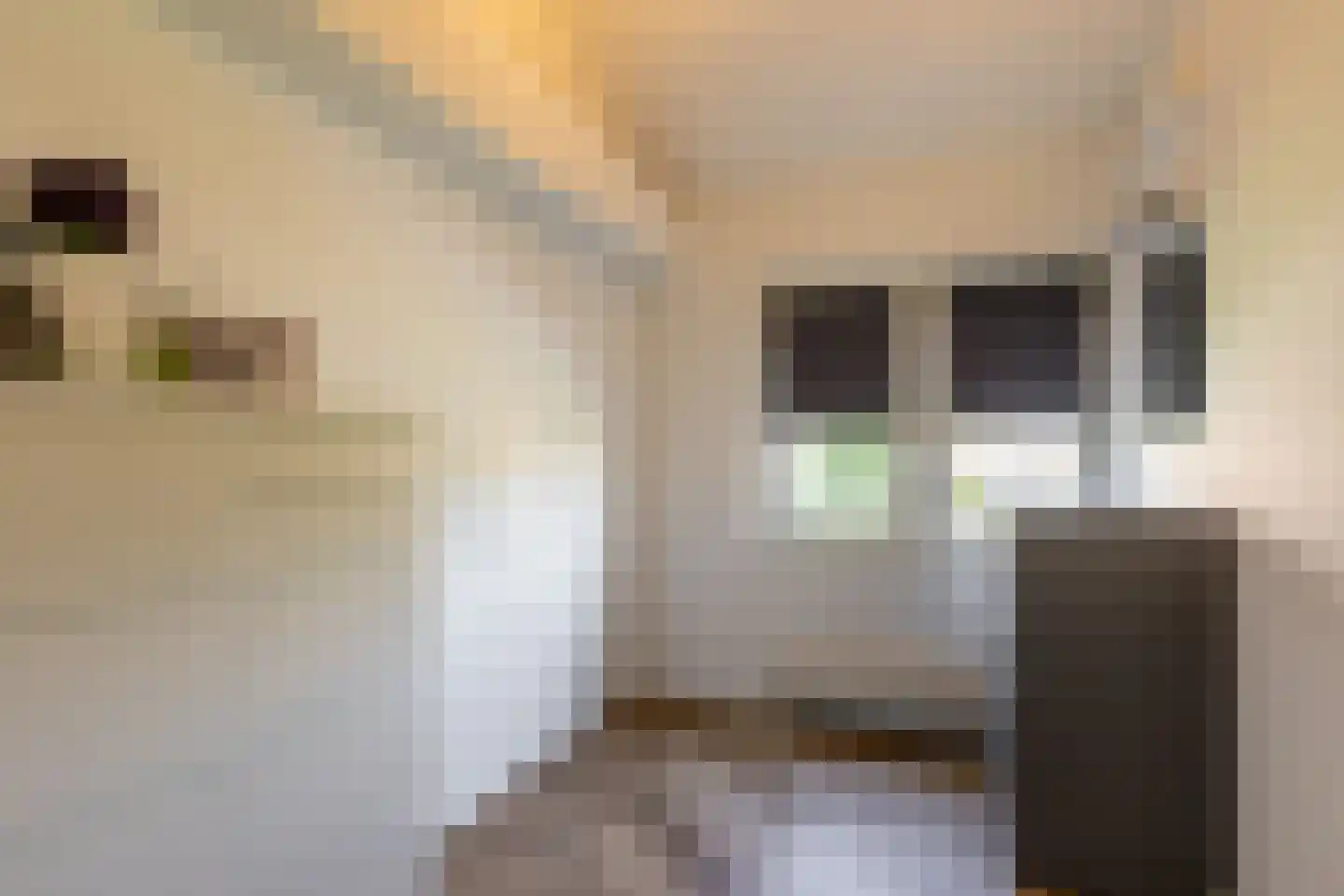 Hertshooistraat 8 Rotterdam thumbnail 30