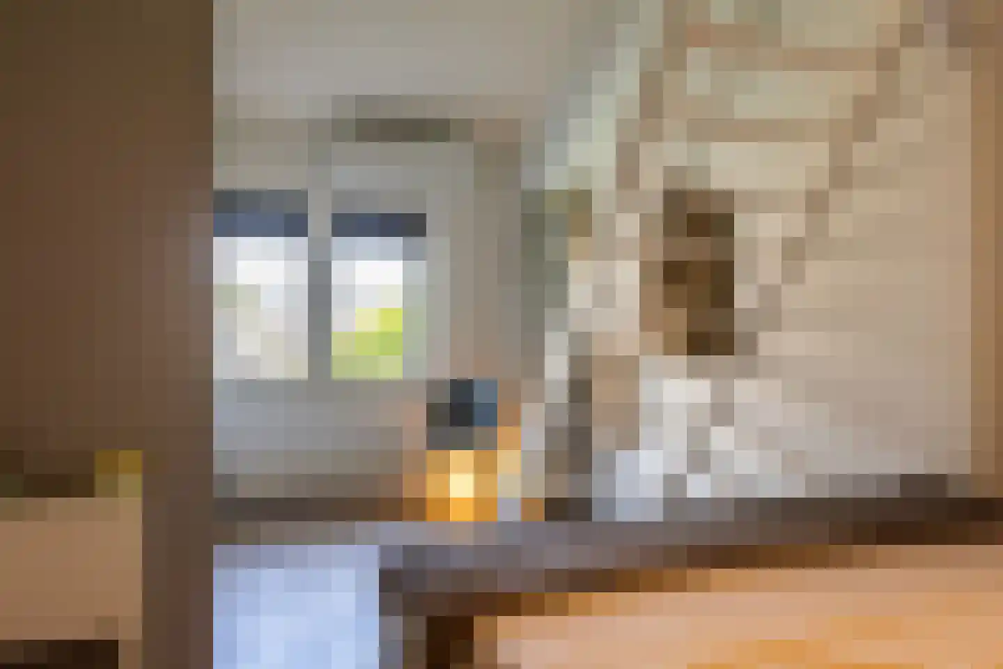 Hertshooistraat 8 Rotterdam thumbnail 5