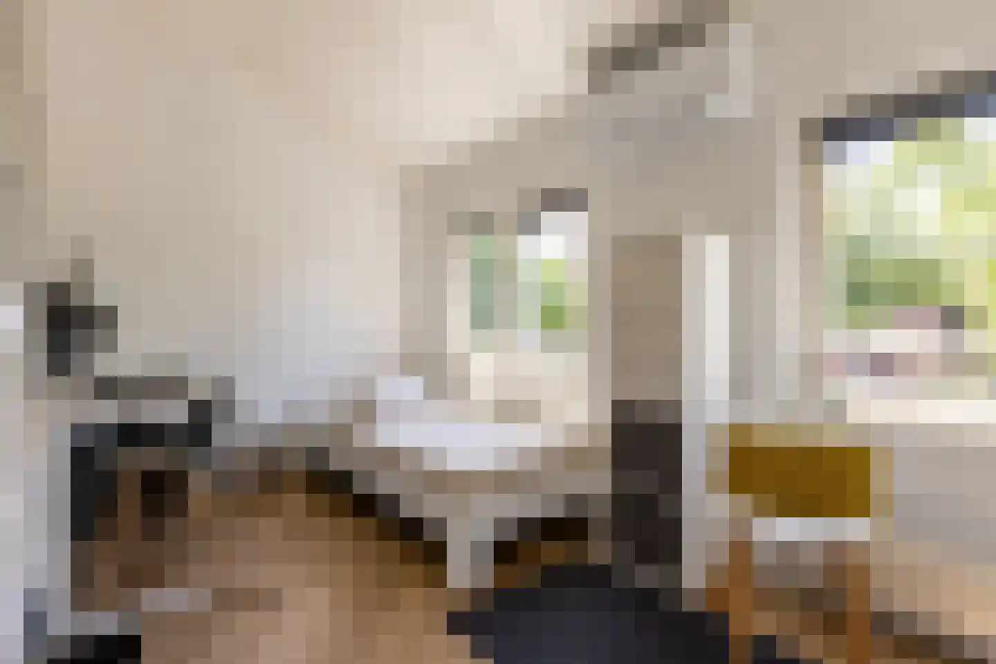 Hertshooistraat 8 Rotterdam thumbnail 7