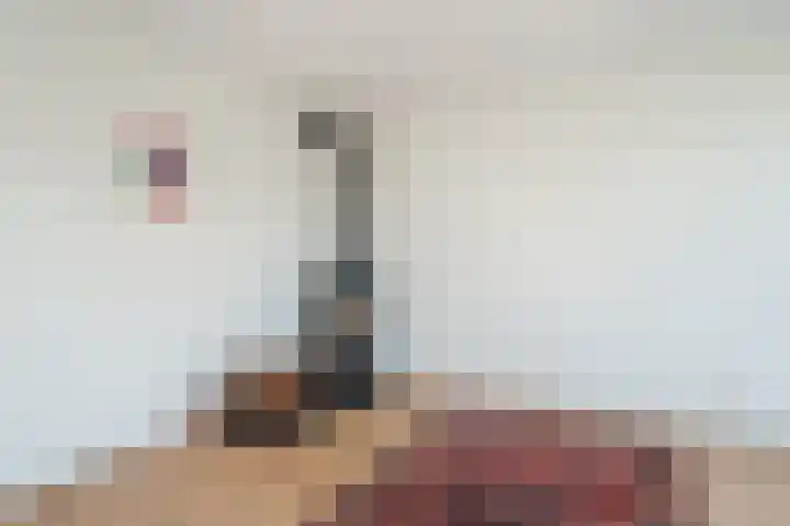 Hertshooiweg 16 Bergen (NH) thumbnail 11