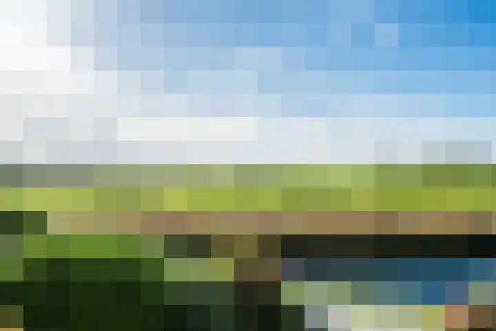 Hertshooiweg 16 Bergen (NH) thumbnail 25
