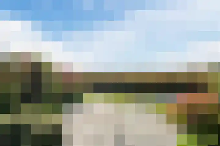 Hertshooiweg 16 Bergen (NH) thumbnail 37