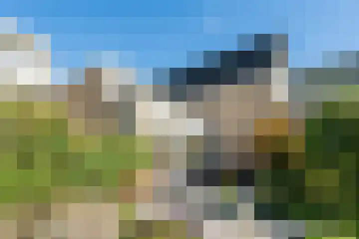 Hertshooiweg 16 Bergen (NH) thumbnail 40