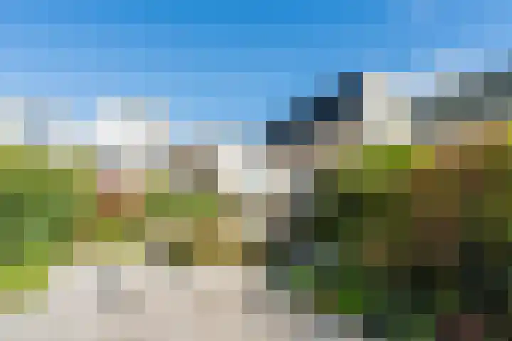 Hertshooiweg 16 Bergen (NH) thumbnail 41