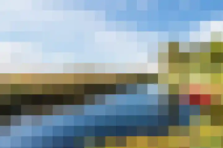 Hertshooiweg 16 Bergen (NH) thumbnail 43