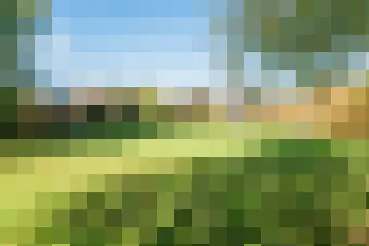 Hertshooiweg 16 Bergen (NH) thumbnail 44