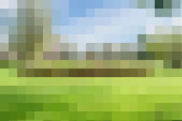 Hertshooiweg 16 Bergen (NH) thumbnail 45