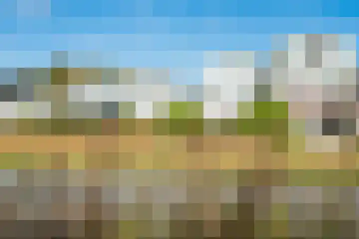 Hertshooiweg 16 Bergen (NH) thumbnail 47