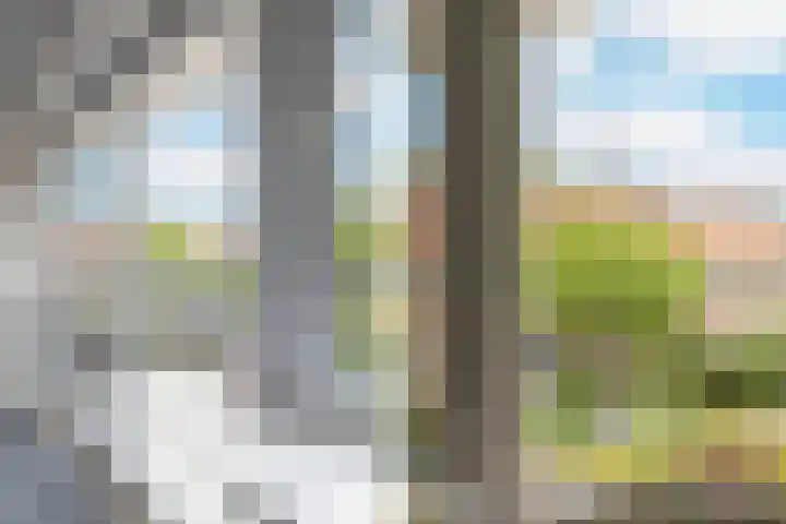 Hertshoornstraat 15 Arnhem thumbnail 18