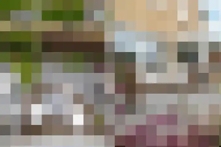 Hertshoornstraat 15 Arnhem thumbnail 33