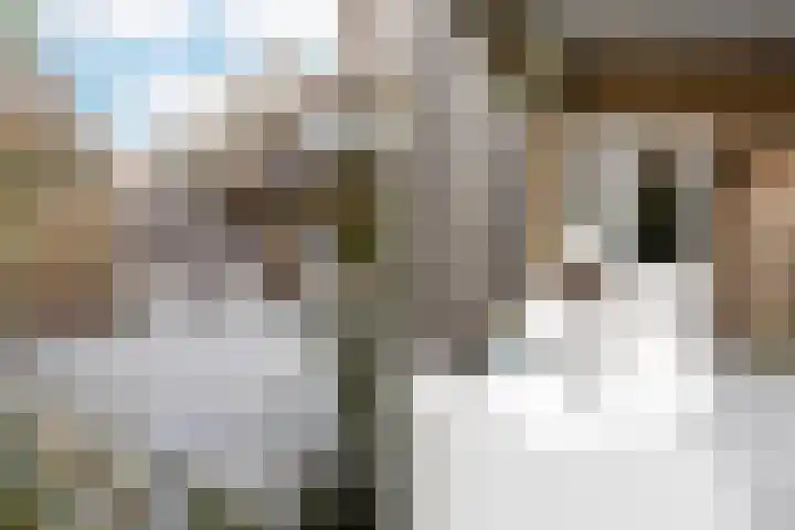 Hertshoornstraat 15 Arnhem thumbnail 37