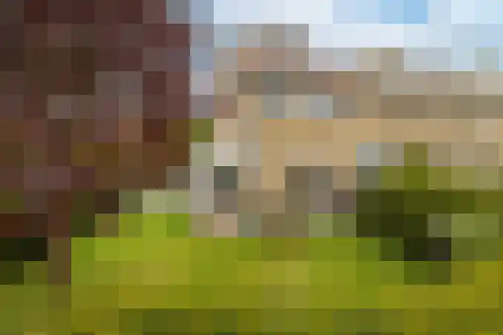 Hertshoornstraat 15 Arnhem thumbnail 6