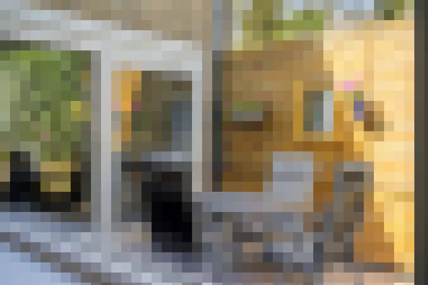Hertshoornstraat 30 Arnhem thumbnail 18