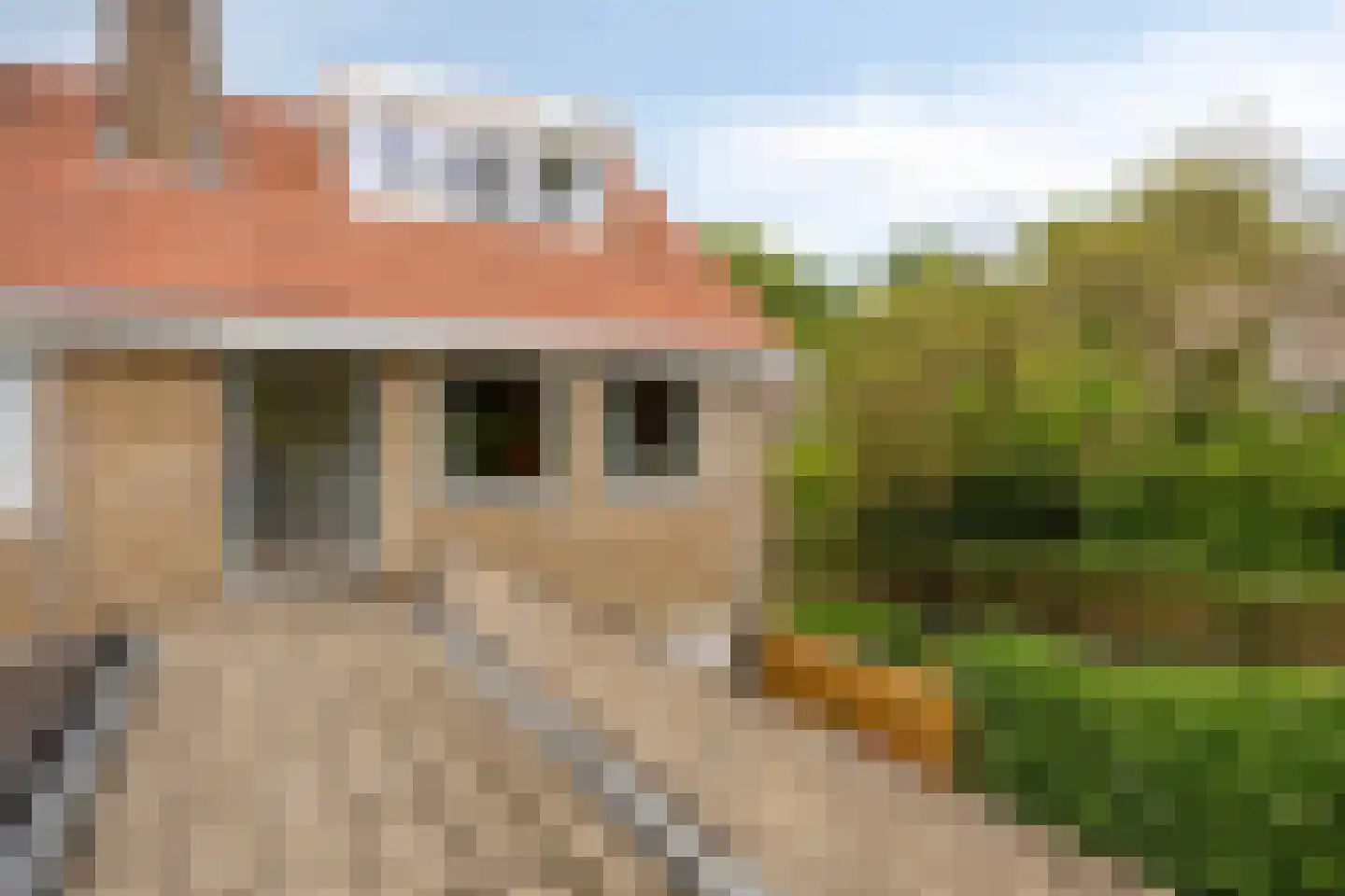 Hertshoornstraat 30 Arnhem thumbnail 31