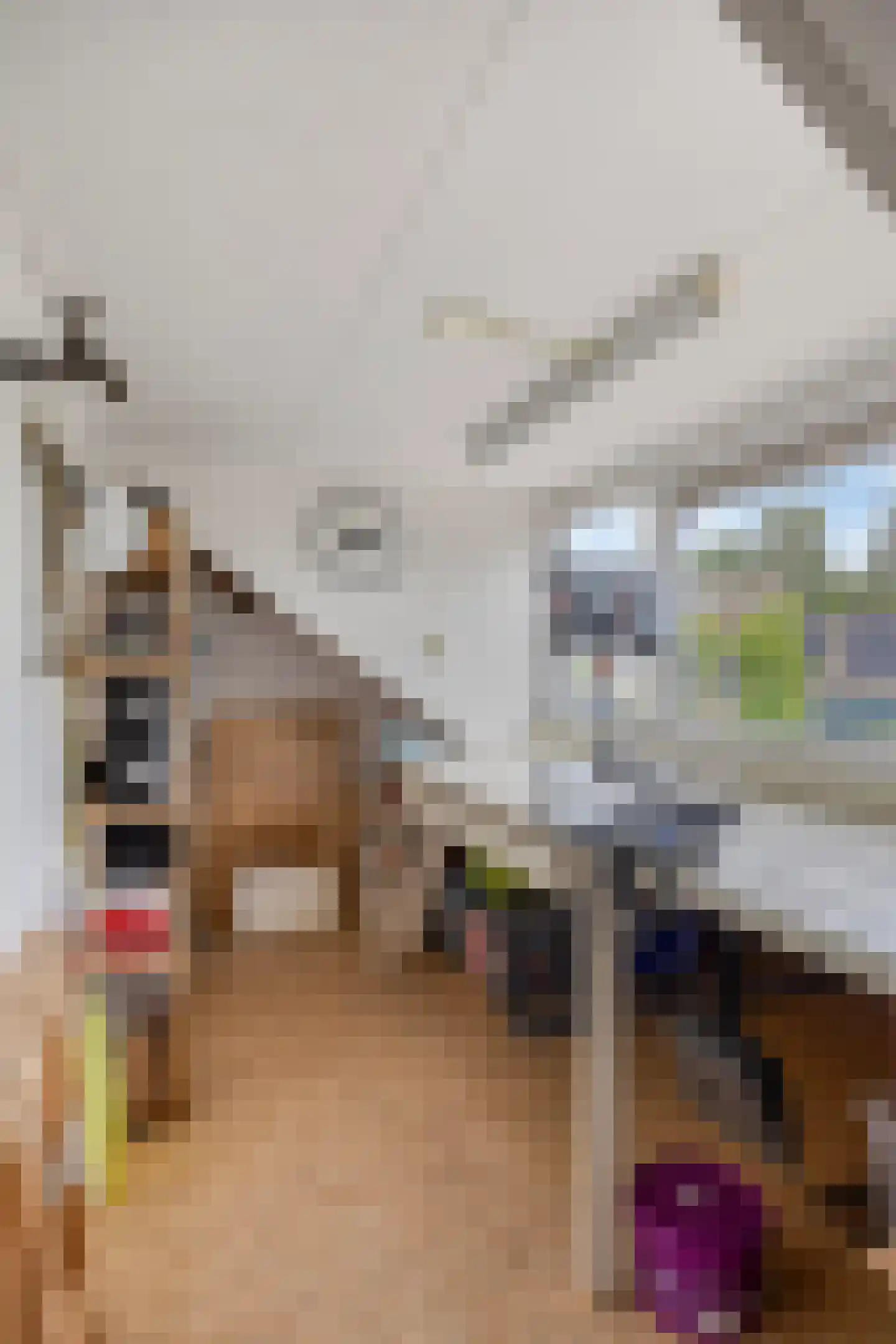 Hertshoornstraat 30 Arnhem thumbnail 37