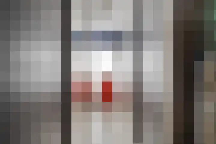 Hertshoornstraat 5 Bergen op Zoom thumbnail 10