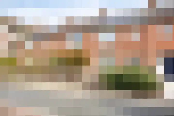 Hertshoornstraat 5 Bergen op Zoom thumbnail 12