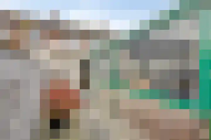 Hertshoornstraat 5 Bergen op Zoom thumbnail 5