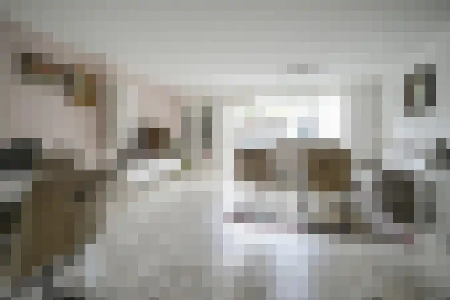 Hertshoornvaren 15 Bergschenhoek thumbnail 10