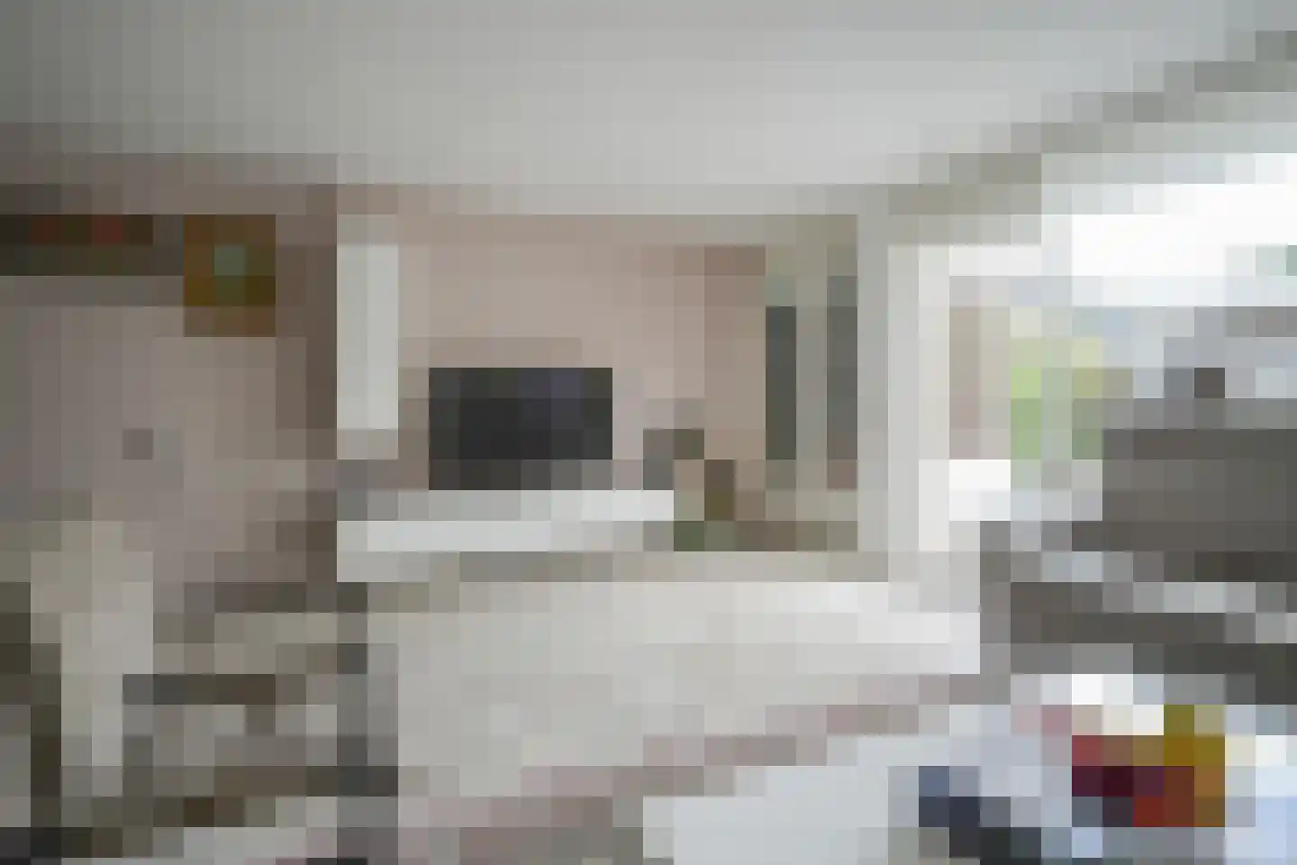 Hertshoornvaren 15 Bergschenhoek thumbnail 11