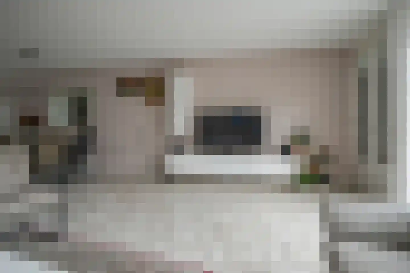 Hertshoornvaren 15 Bergschenhoek thumbnail 12