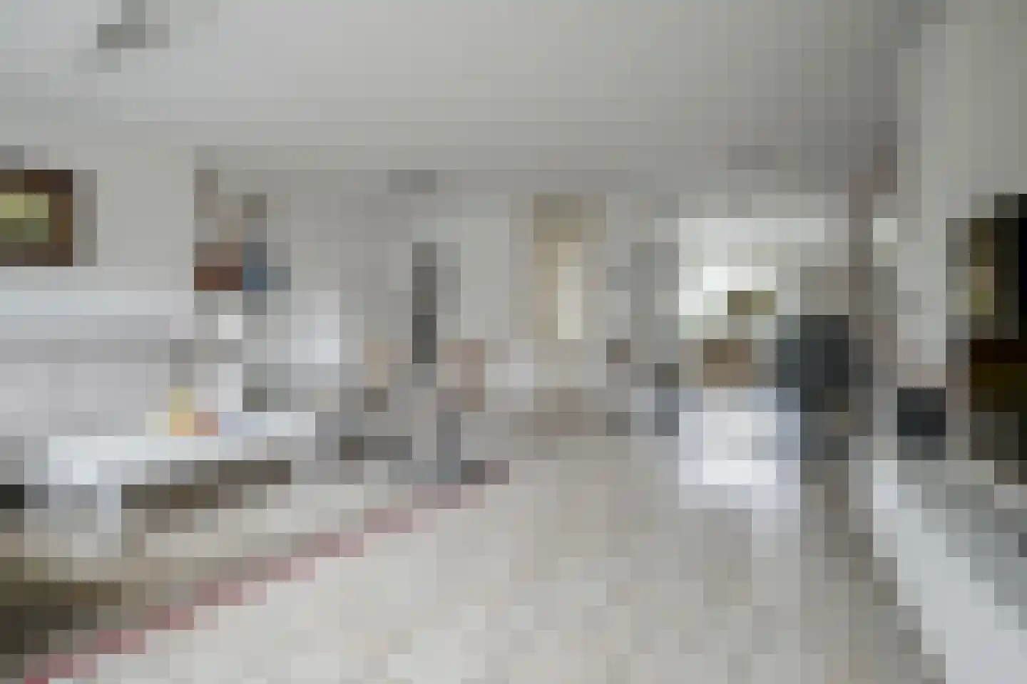 Hertshoornvaren 15 Bergschenhoek thumbnail 13