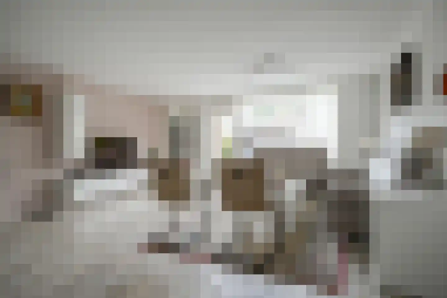 Hertshoornvaren 15 Bergschenhoek thumbnail 15