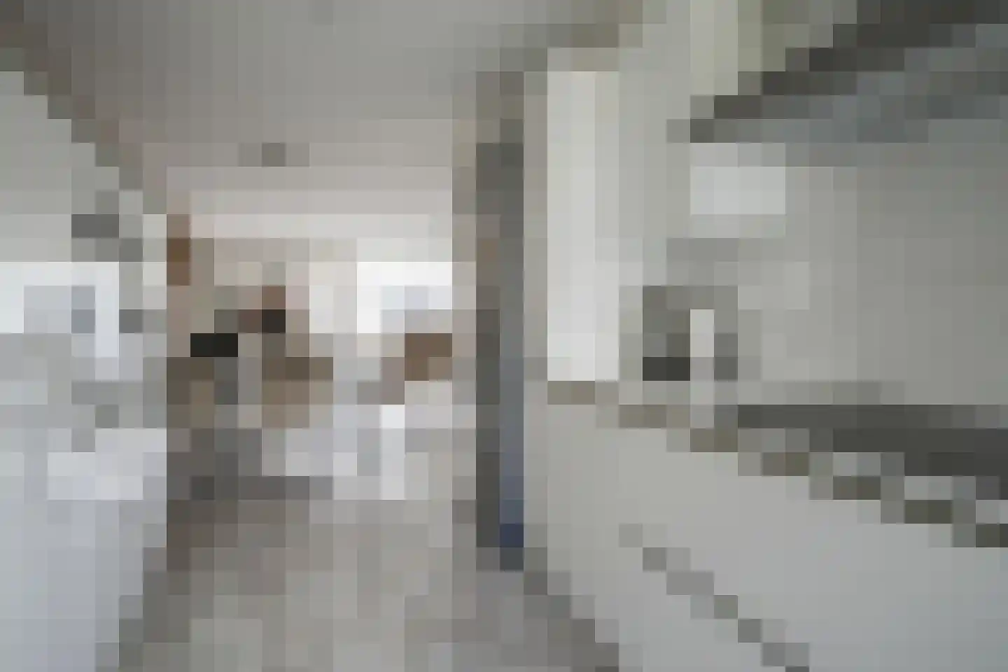 Hertshoornvaren 15 Bergschenhoek thumbnail 18
