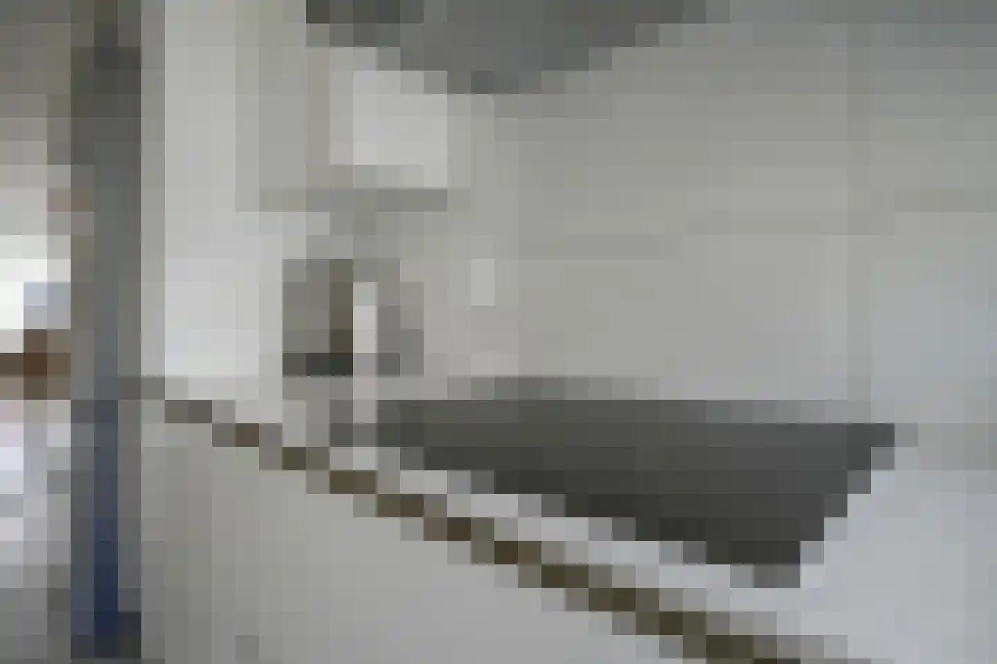 Hertshoornvaren 15 Bergschenhoek thumbnail 19